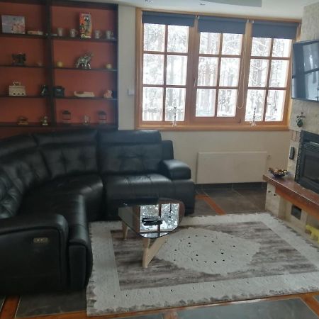 Vila Panic Ζλάτιμπορ Εξωτερικό φωτογραφία